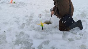 Основной водоём. Поимка форели.