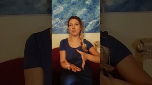 Маша Ветер в Краснодаре с проектом #ЖИВАЯ 22.12.25.