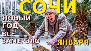 Сочи снегопад,Погода в Сочи, Сочи снег, Новоти Сочи, Сочи сегодня, Снег в Сочи, Сочи сейчас