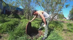 Лучше приехать в деревню , чем тосковать в городе