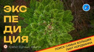 Поиск пихт-гигантов (дендрологическая экспедиция, хр. Буйный (Адыгея))