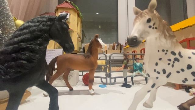 Конкурс 😊 смотреть онлайн