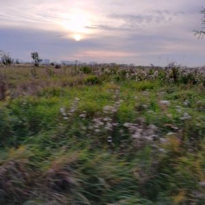 всем привет заходите сюда!