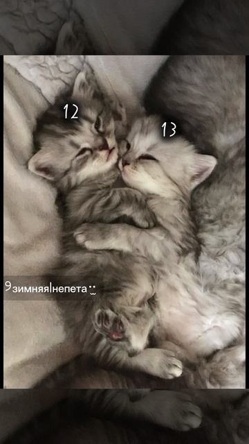 ну мояшкааа❤️