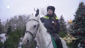 🐎🎇 2026 – год огненной Лошади по китайскому календарю.