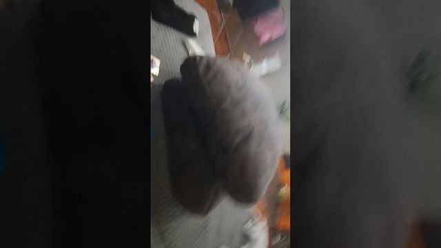 Я ПРОЖИВУ 7 ДНЕЙ КА4 ВАН ДАММ | 1 ДЕНЬ