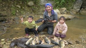 Ловлю гигантского карпа для продажи на рынке. Готовлю вместе со своим маленьким сыном. Дуонг