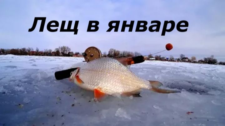 КАК ЛОВИТЬ ЛЕЩА в ЯНВАРЕ? НАЖИВКИ и СНАСТИ для ЛОВЛИ ЛЕЩА. МЕСТА ДЛЯ РЫБАЛКИ ЗИМОЙ смотреть онлайн
