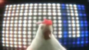 смешная музыка куриц:)