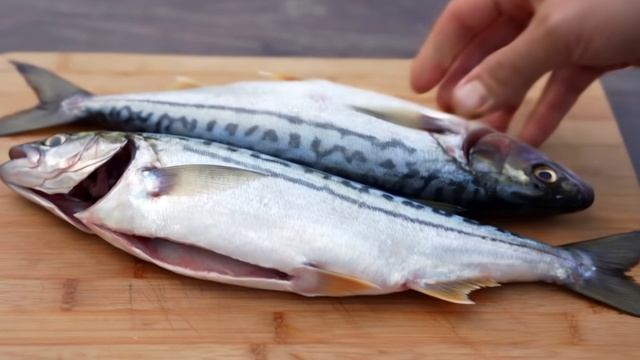 Скумбрия домашнего посола. Рецепт внутри. Подписался? Читай, смотри!