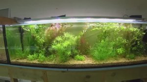 Поработал на разводне