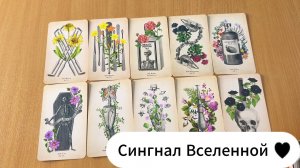 Сигнал Вселенной для Тебя | Расклад Таро, гадание на картах онлайн