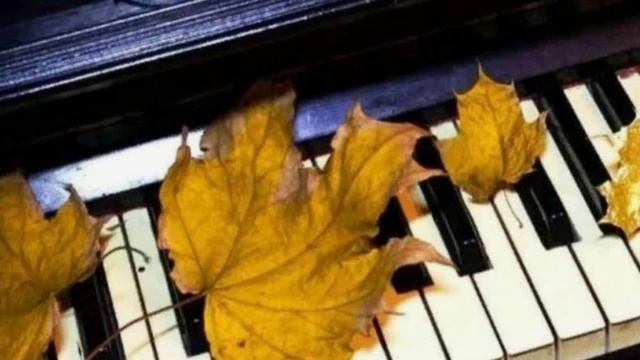 Девушка ночь смотреть онлайн