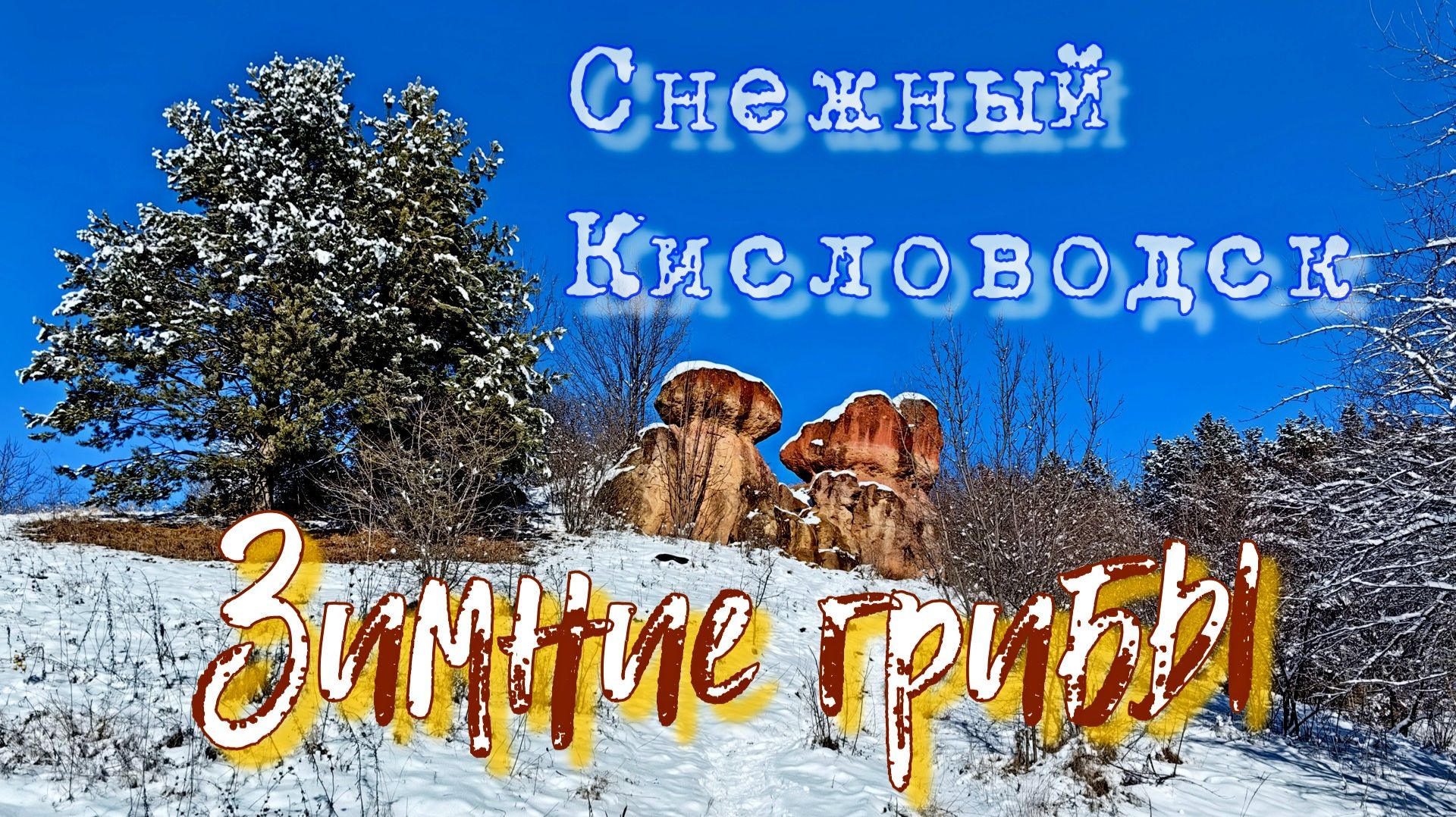 Снежный Кисловодск. Зимние грибы❄🏞🍄🏔 смотреть онлайн