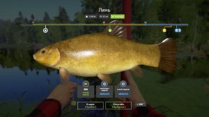 Русская Рыбалка 4-Новогодние Задания 2026: Линь не менее 800 грамм оз. Старый Острог