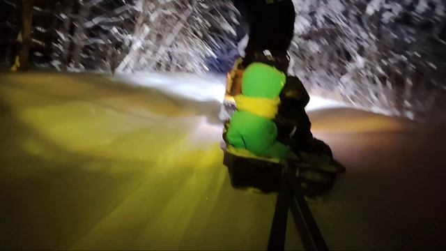 Продолжение приключений #буран #зимнийлес #природа