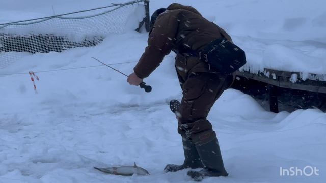 Поимки Форели после запуска смотреть онлайн