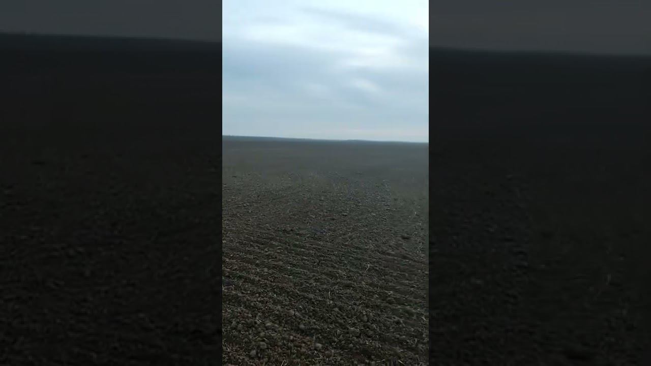 УРА! ОСЕННЯЯ ПОСЕВНАЯ ОКОНЧЕНА!