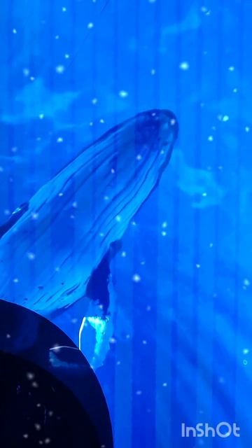 Новогодний парк 