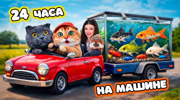 24 ЧАСА в МАШИНЕ 😱 КОТИКИ Везут РЫБОК 🐟 Что с ними СТАЛО? ПУТЕШЕСТВИЕ КОТИКОВ и РЫБОК на МАШИНЕ