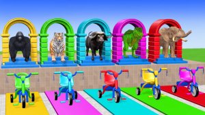 Веселые игры с слоном, гориллой, бегемотом, тигром - 3D игра с животными - Забавные 3D животные