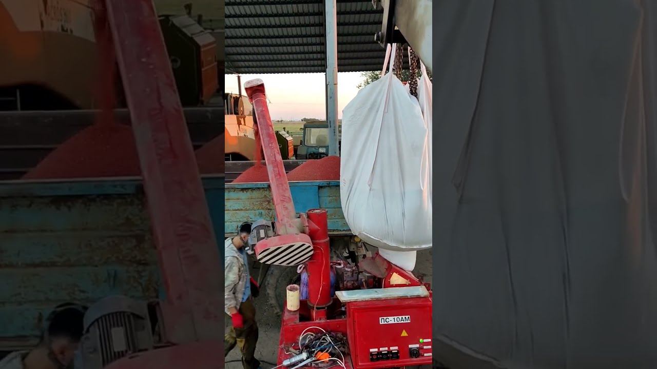 НАЧАЛИ ТРАВИТЬ ЗЕРНО НА ПОСЕВНУЮ