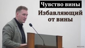 "Избавляющий от вины". Е. Г. Ефремов. МСЦ ЕХБ