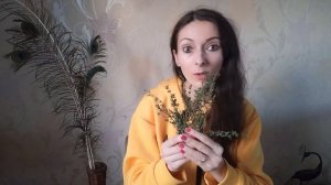 Чабрец противопоказания | Чабрец полезные свойства