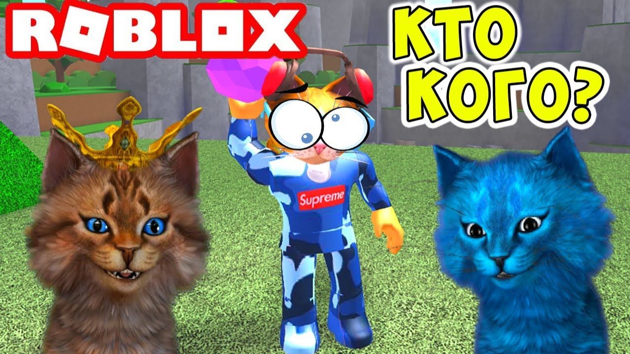 КТО САМЫЙ КРУТОЙ КОТ! Roblox Cursed Island Котик Игроман и Котёнок Лайк