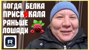 Наталья Губарева _Когда белка прискакала раньше лошади _Обзор _Из города в деревню _Одна в деревне _