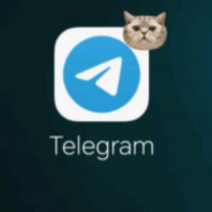 ИГРАЕМ В СКУЛ БОЙ, STEAL A BRAINROT, И В ?