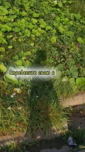 проблема решится сама собой #цитаты #трансерфингреальности #мышление #мотивация #саморазвитие