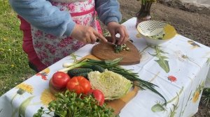 Дачные весенние радости.  Сушка одуванчиков для чая.  Г