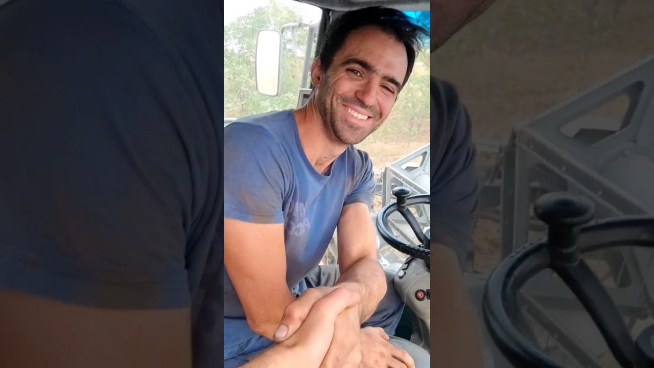 УБОРКА 2023 ЗАКОНЧЕНА! УРА !!! #комбайн #поле #уборкаурожая