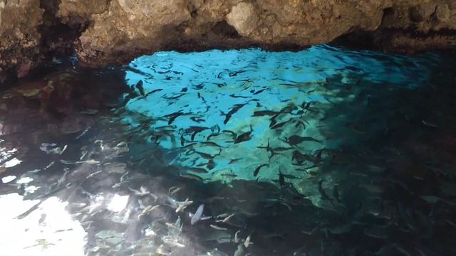 Палеокастрица смотреть онлайн