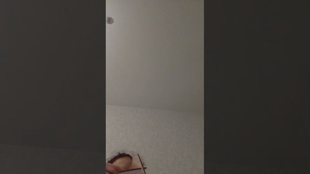 Даша зайка смотреть онлайн