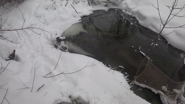 проверка рыболовных снастей смотреть онлайн