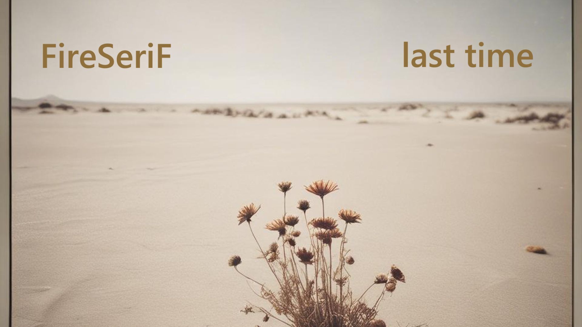 FireSeriF - Last Time смотреть онлайн