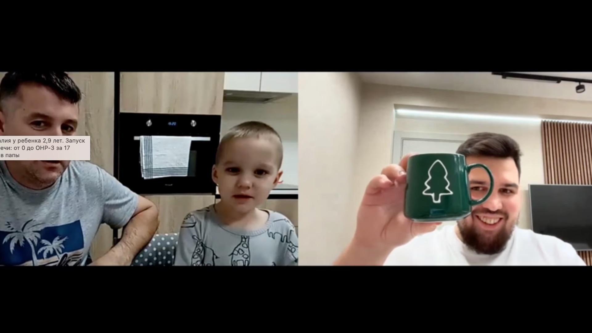 Сенсорная алалия у ребенка 2,9 лет. Запуск понимания и речи: от 0 до ОНР-3 за 17 месяцев. Отзыв папы смотреть онлайн