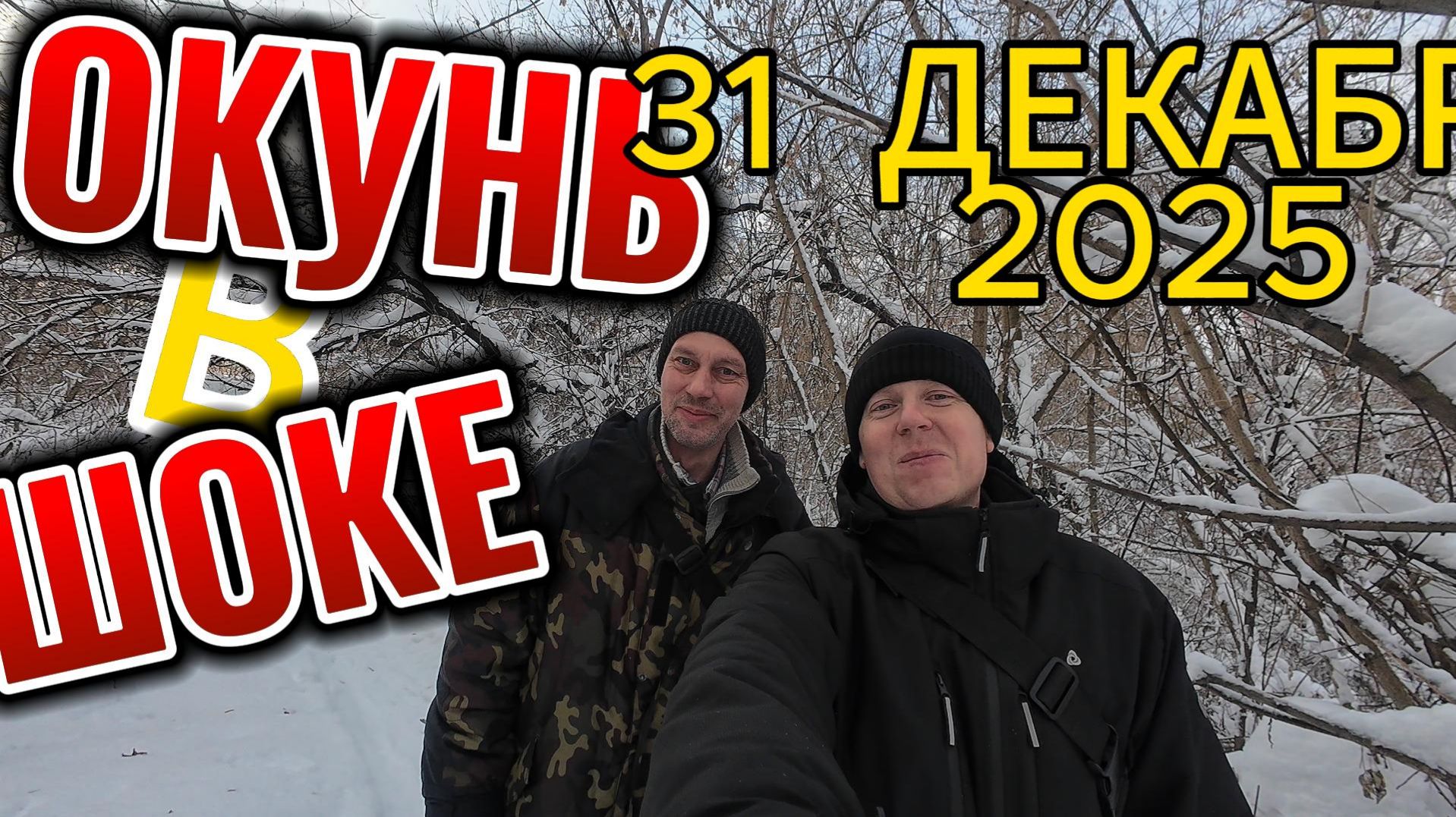 Окунь в шоке. 31 декабря 2025 смотреть онлайн