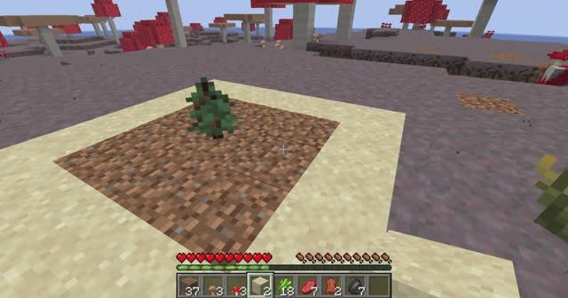 Minecraft_ 1.21.11 - Я ПОСАДИЛ ДЕРЕВО НА ГРИБНОМ ОСТРАВЕ!!!!!!!!!!!!!!!!!!! смотреть онлайн