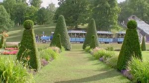 Топиарное искусство в Петергофе