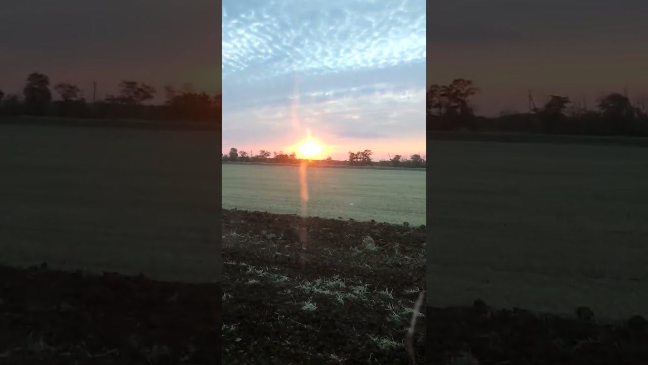 Начали пахать ЗЯБЬ