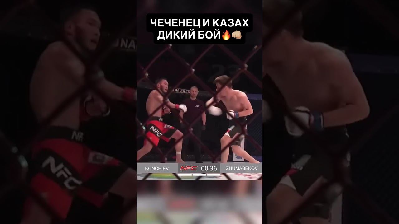 Дикий бой смотреть онлайн
