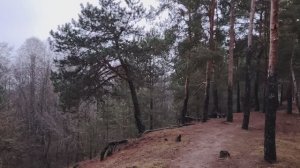 Ложные девизы на работе. -Мы единая команда!