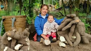 Мама поневоле. Дуонг. Выкапываю клубни маниок для продажи. Веду хозяйство. Серия 28