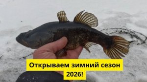 #106 Открываем сезон зимней рыбалки отличными ротанами!