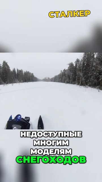 Брендовым Снегоходам МНОГОЕ Недоступно / Снегоход Сталкер смотреть онлайн