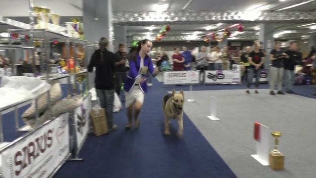 Стивит Армаст Угроза