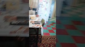 Видео номер 2